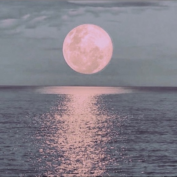 Meet your Posher, Raz - Picture 1 of 1